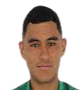 https://img.hzrdjx.com/img/football/player/5c6f790b76d30c70795576585c8cfea6.png