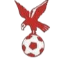 https://img.hzrdjx.com/img/football/team/4802d26df935b78bb2fcdbbff36e8864.png