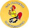 https://img.hzrdjx.com/img/football/team/63b0933cc303927659846a4ed54b1522.png