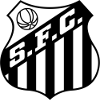 https://img.hzrdjx.com/img/football/team/674171a5ca8e8fd3a9784bec35afb185.png